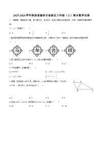 2025-2026学年陕西省榆林市高新区八年级（上）期末数学试卷-自定义类型