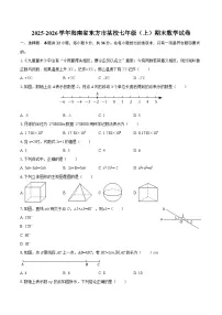 2025-2026学年海南省东方市某校七年级（上）期末数学试卷-自定义类型