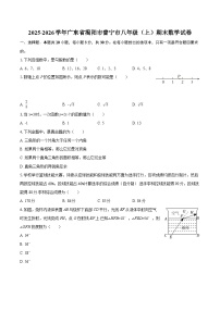 2025-2026学年广东省揭阳市普宁市八年级（上）期末数学试卷-自定义类型