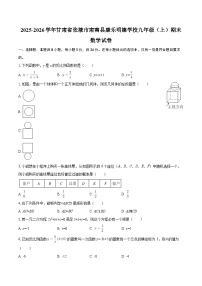 2025-2026学年甘肃省张掖市肃南县康乐明德学校九年级（上）期末数学试卷-自定义类型