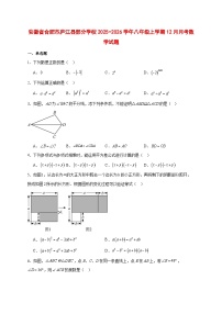 2025-2026学年安徽省合肥市庐江县部分学校八年级上册12月月考数学试卷 [附答案]