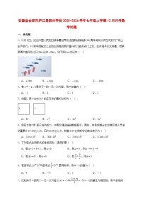 2025-2026学年安徽省合肥市庐江县部分学校七年级上册12月月考数学试卷 [附答案]