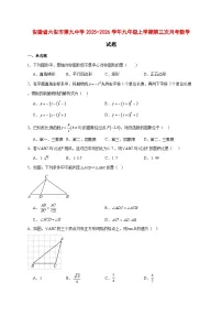 2025-2026学年安徽省六安市第九中学九年级上册第三次月考数学试卷 [附答案]
