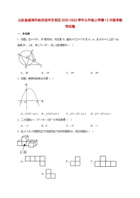 2025-2026学年山东省威海市经济技术开发区九年级上册12月联考数学试卷 [附答案]