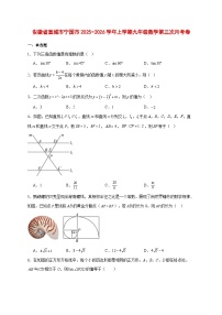 2025-2026学年安徽省宣城市宁国市上册九年级数学第三次月考卷 [附答案]