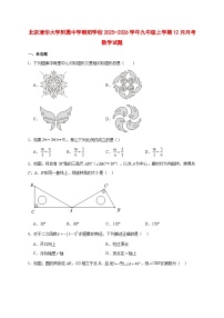 2025-2026学年北京清华大学附属中学朝阳学校九年级上册12月月考数学试卷 [附答案]