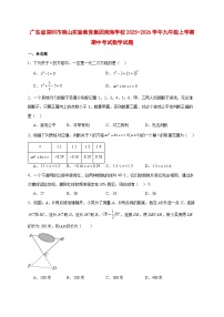 2025-2026学年广东省深圳市南山实验教育集团南海学校九年级上册期中考试数学试卷 [附答案]