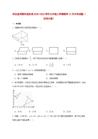 2025-2026学年河北省邯郸市成安县九年级上册数学12月月考试卷（北师大版） [附答案]