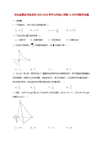 2025-2026学年河北省邢台市任泽区九年级上册12月月考数学试卷 [附答案]