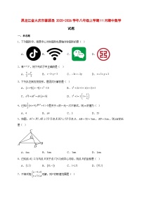 2025-2026学年黑龙江省大庆市肇源县 八年级上册11月期中数学试卷 [附答案]