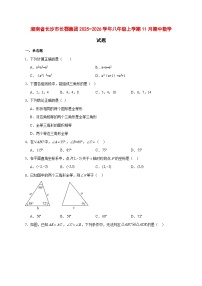 2025-2026学年湖南省长沙市长郡集团八年级上册11月期中数学试卷 [附答案]