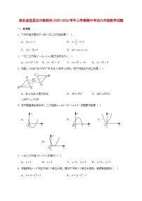 2025-2026学年湖北省宜昌五中教联体上册期中考试九年级数学试卷 [附答案]