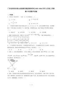 广东省深圳市南山实验教育集团南海学校2025-2026学年九年级上册期中考试数学试卷（含答案）