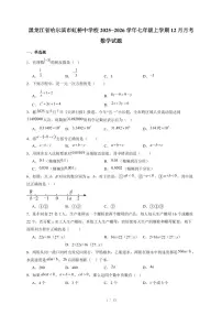 黑龙江省哈尔滨市虹桥中学校2025-2026学年七年级上册12月月考数学试卷（含答案）