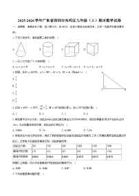 2025-2026学年广东省深圳市光明区九年级（上）期末数学试卷（含答案+解析）