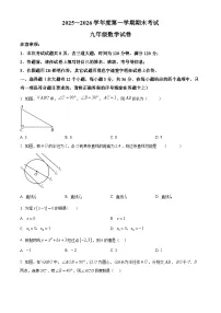 河北省唐山市玉田县2025-2026学年九年级上学期1月期末数学试题