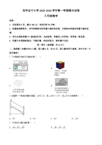 广东省深圳龙华区2025-2026学年上学期八年级期末数学试题