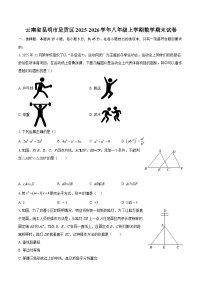 云南省昆明市呈贡区2025-2026学年八年级上学期数学期末试卷-自定义类型
