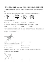 四川省绵阳市梓潼县2025-2026学年八年级上学期1月期末数学试题-自定义类型