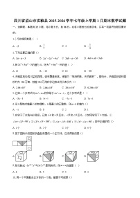 四川省眉山市洪雅县2025-2026学年七年级上学期1月期末数学试题-自定义类型