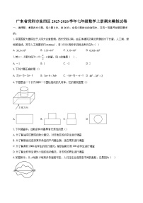 广东省深圳市盐田区2025-2026学年七年级数学上册期末模拟试卷-自定义类型