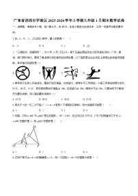 广东省深圳市罗湖区2025-2026学年上学期九年级1月期末数学试卷-自定义类型