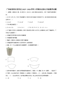 广东省深圳市龙华区2025—2026学年上学期末试卷七年级数学试题-自定义类型