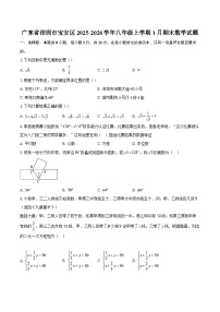 广东省深圳市宝安区2025-2026学年八年级上学期1月期末数学试题-自定义类型