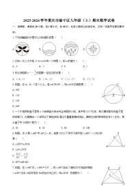 2025-2026学年重庆市渝中区九年级（上）期末数学试卷-自定义类型