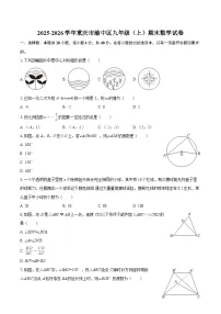 2025-2026学年重庆市渝中区九年级（上）期末数学试卷-自定义类型