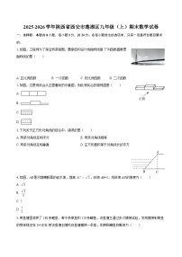 2025-2026学年陕西省西安市莲湖区九年级（上）期末数学试卷-自定义类型