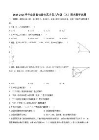 2025-2026学年山西省长治市武乡县九年级（上）期末数学试卷-自定义类型