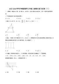 2025-2026学年沪教版数学九年级上册期末复习试卷（二）-自定义类型
