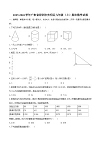 2025-2026学年广东省深圳市光明区九年级（上）期末数学试卷-自定义类型