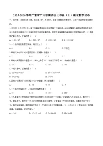 2025-2026学年广东省广州市南沙区七年级（上）期末数学试卷-自定义类型