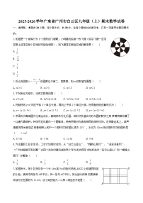 2025-2026学年广东省广州市白云区九年级（上）期末数学试卷-自定义类型