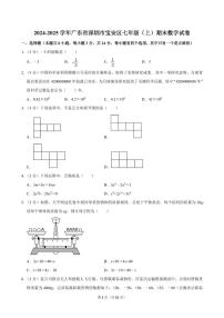 2024-2025学年深圳市宝安区七年级上册期末数学试卷及答案