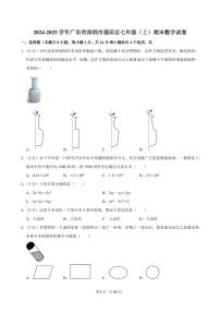 2024-2025学年深圳市福田区七年级上册期末数学试卷及答案