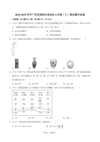 2024-2025学年深圳市龙岗区七年级上册期末数学试卷及答案