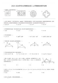2025~2026学年北京朝阳区初二上学期期末数学试卷（有答案解析）