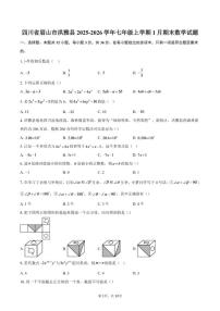 2025-2026学年四川省眉山市洪雅县七年级上学期1月期末数学试题（含答案）