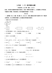 中考一模数学试题（解析版）