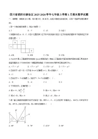 四川省绵阳市游仙区2025-2026学年七年级上学期1月期末数学试题-自定义类型