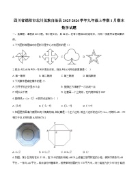 四川省绵阳市北川羌族自治县2025-2026学年九年级上学期1月期末数学试题-自定义类型