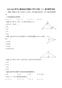 2025-2026学年云南省迪庆州藏文中学八年级（上）期末数学试卷-自定义类型