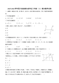 2025-2026学年四川省成都市成华区八年级（上）期末数学试卷-自定义类型