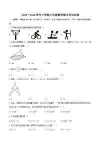 2025—2026学年上学期八年级数学期末考试试卷-自定义类型