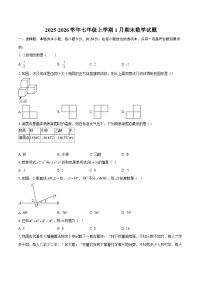 2025-2026学年七年级上学期1月期末数学试题-自定义类型