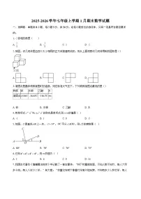 2025-2026学年七年级上学期1月期末数学试题-自定义类型