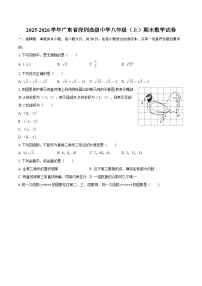 2025-2026学年广东省深圳高级中学八年级（上）期末数学试卷-自定义类型